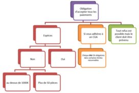 Conditions de refus des moyens de paiement chèque ou espèces