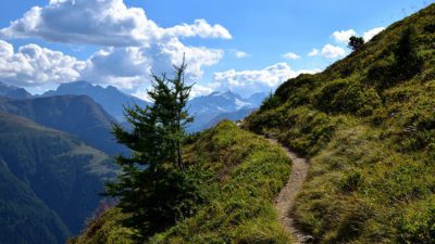 chemin de montagne