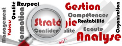 Magesco, Gestion, stratégie et Analyse