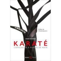 Karaté, l'efficacité à portée de main, livre de Areski Ouzrout